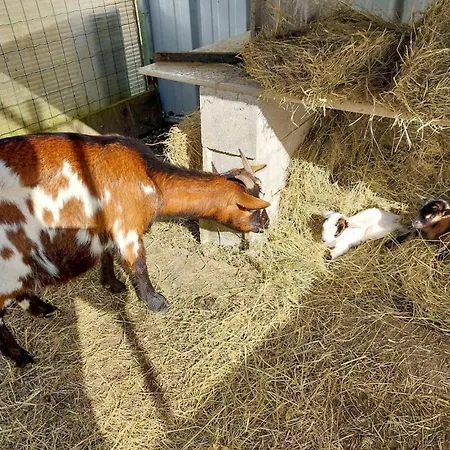 2 Bedroom Cozy In Eyraud-crempse-maurens * La Ressegue