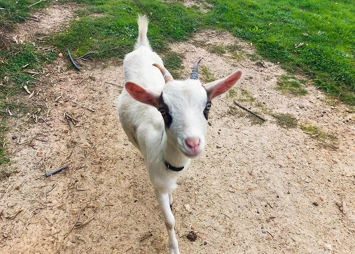 2 Bedroom Cozy In Eyraud-crempse-maurens 펜션 *