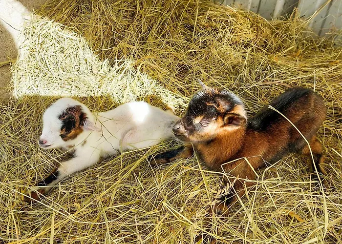 Casa de Férias 2 Bedroom Cozy In Eyraud-crempse-maurens *