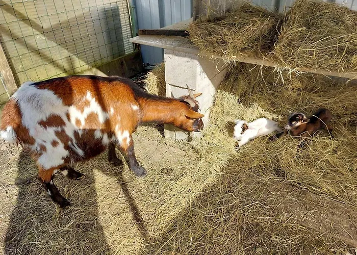 2 Bedroom Cozy In Eyraud-crempse-maurens * La Ressegue