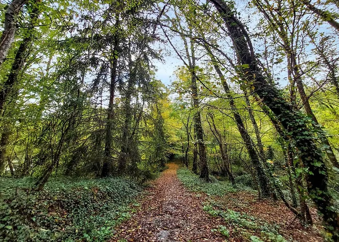 2 Bedroom Cozy In Eyraud-crempse-maurens La Ressegue